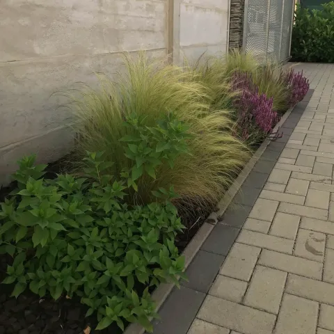 Realizácia záhrady, Malý Lapáš