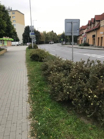 Realizácia záhrady, Vráble 3