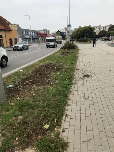 Realizácia záhrady, Vráble 5