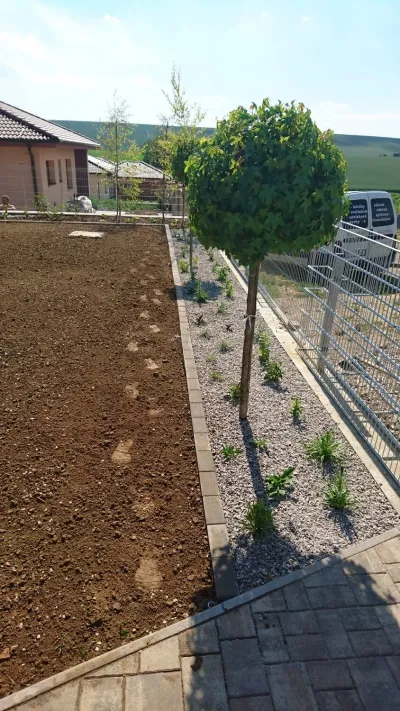 Realizácia záhrady, Veľký Lapáš 6