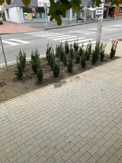 Realizácia záhrady, Vráble 19