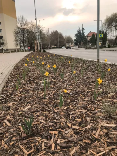 Realizácia záhrady, Vráble 38